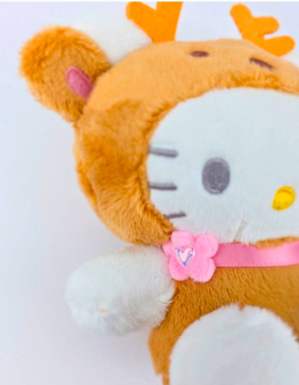 image_040EF0A2-6FC7-4B0C-A766-F3AC2659A758_1772796897