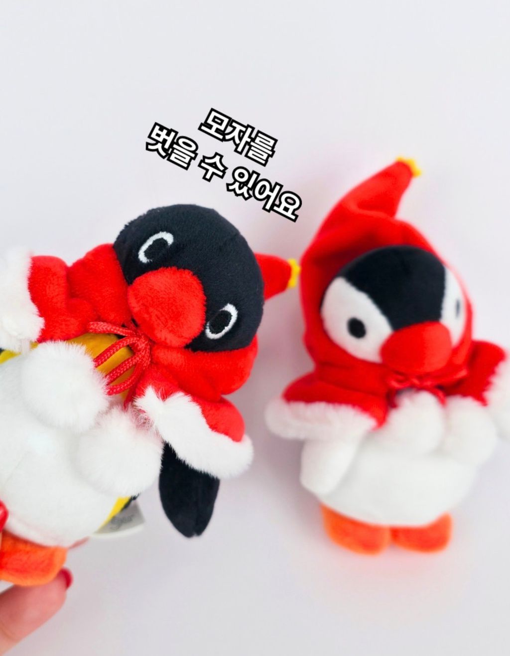 image_FB96F8EB-AE76-4F7F-AFEE-5398389F2B4F_1773302611