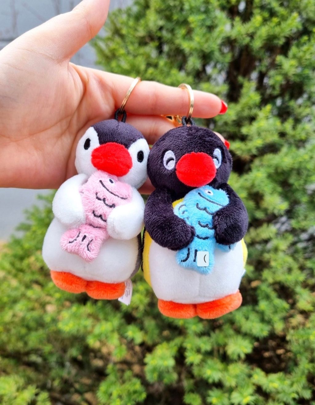 image_CF2410EA-4D64-492B-A5D4-3F94BEF35304_1773307550