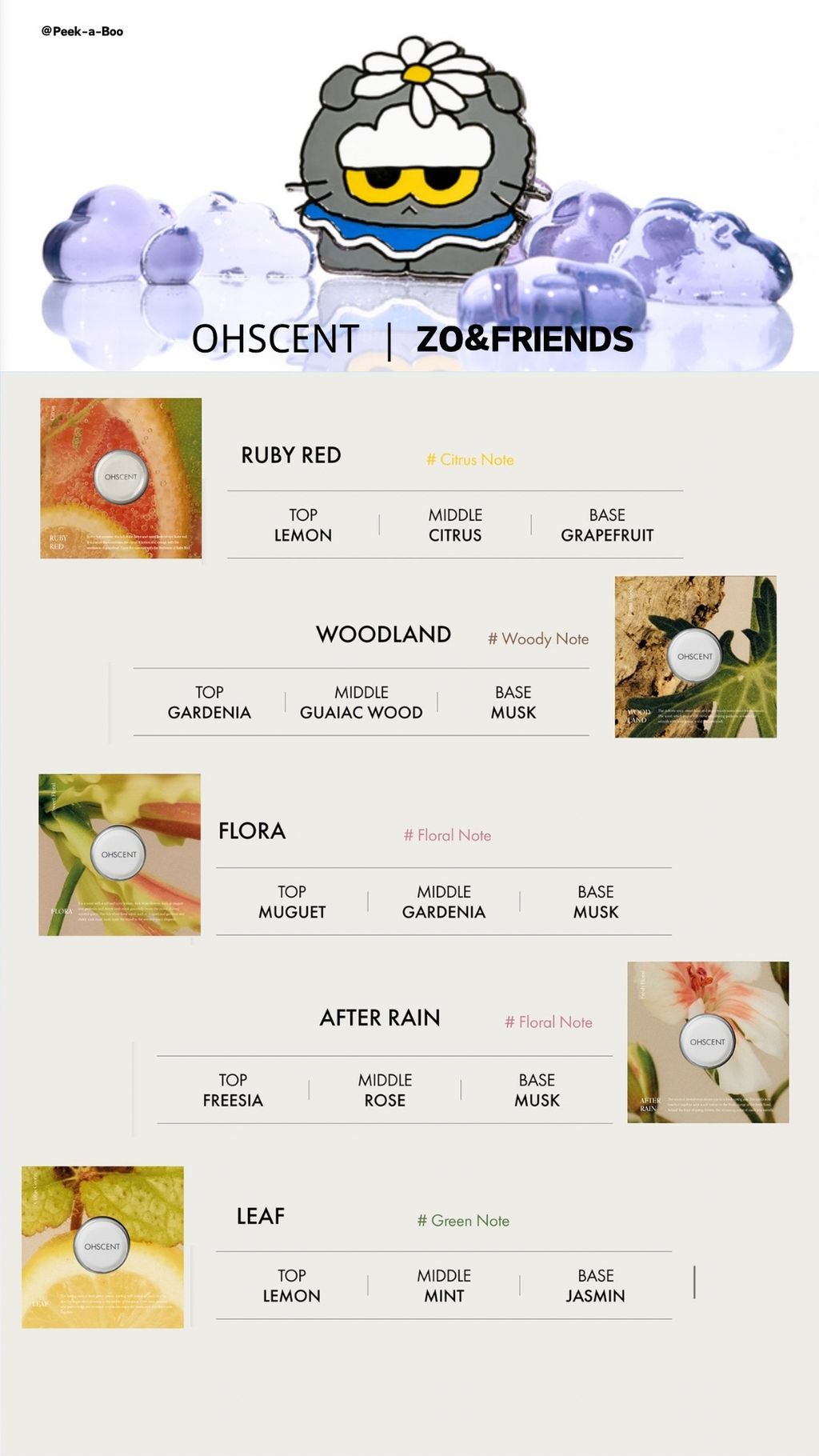 image_777269DB-8559-49B0-850B-FD01E457702F_1774339538