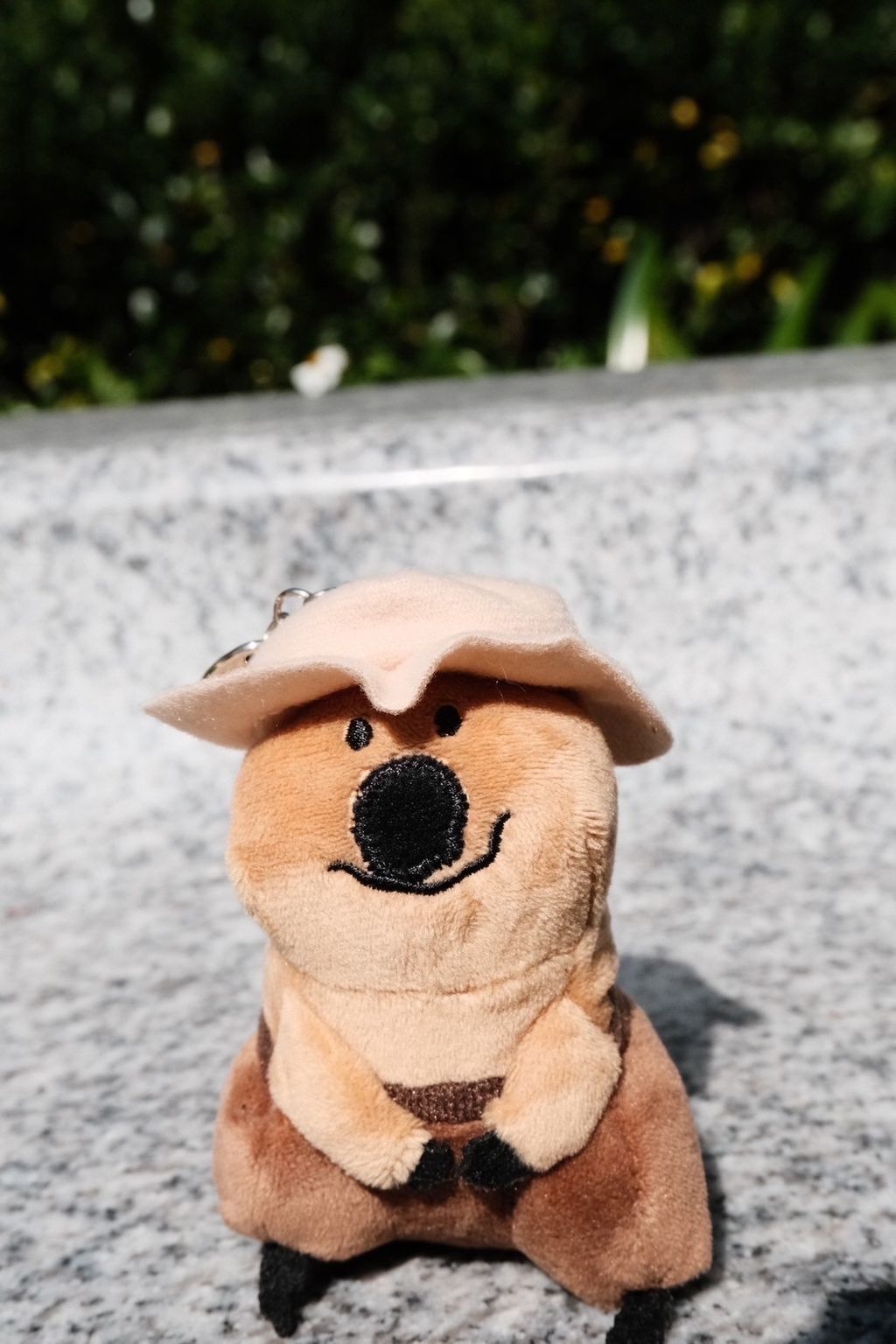 image_B900A3E3-29CF-460A-A11E-6B4036F51BD5_1750231456