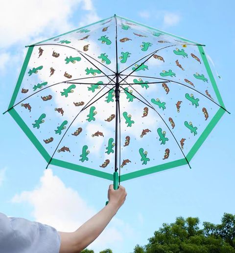 image_D9C6E13F-387D-4D1D-9C26-04A7AE18B20D_1761310891