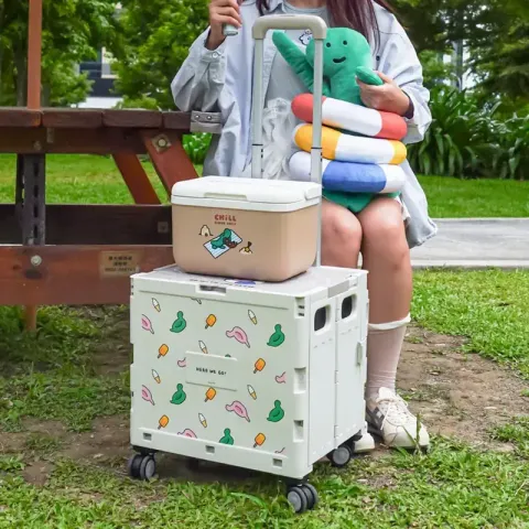 image_5DE233A1-C0B1-4271-95DF-0B44D4D9E49B_1761387388