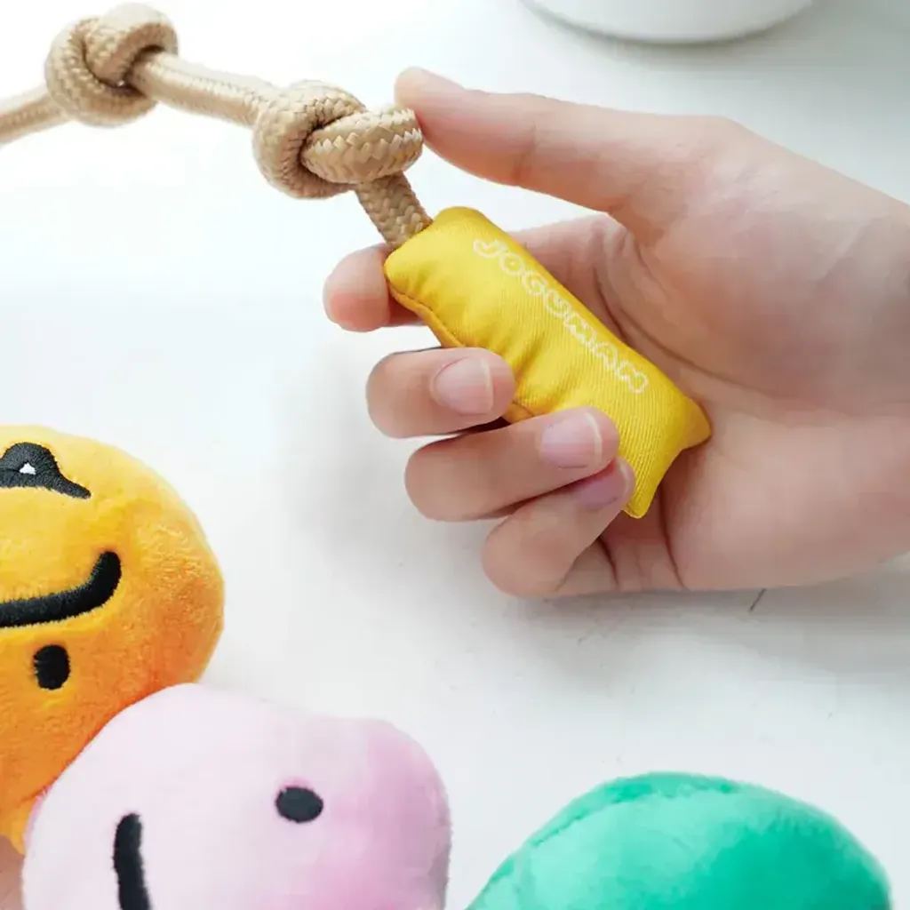 image_2C9F56A4-13A0-4423-A9DC-198F1F13025D_1761389311