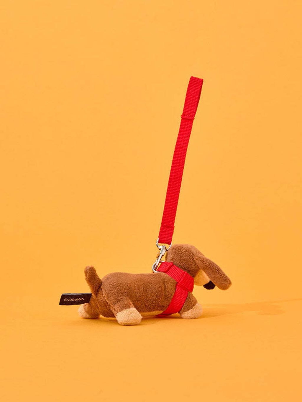 image_1D2386D2-ED71-46E5-8C87-DB0F267E0F68_1761392356