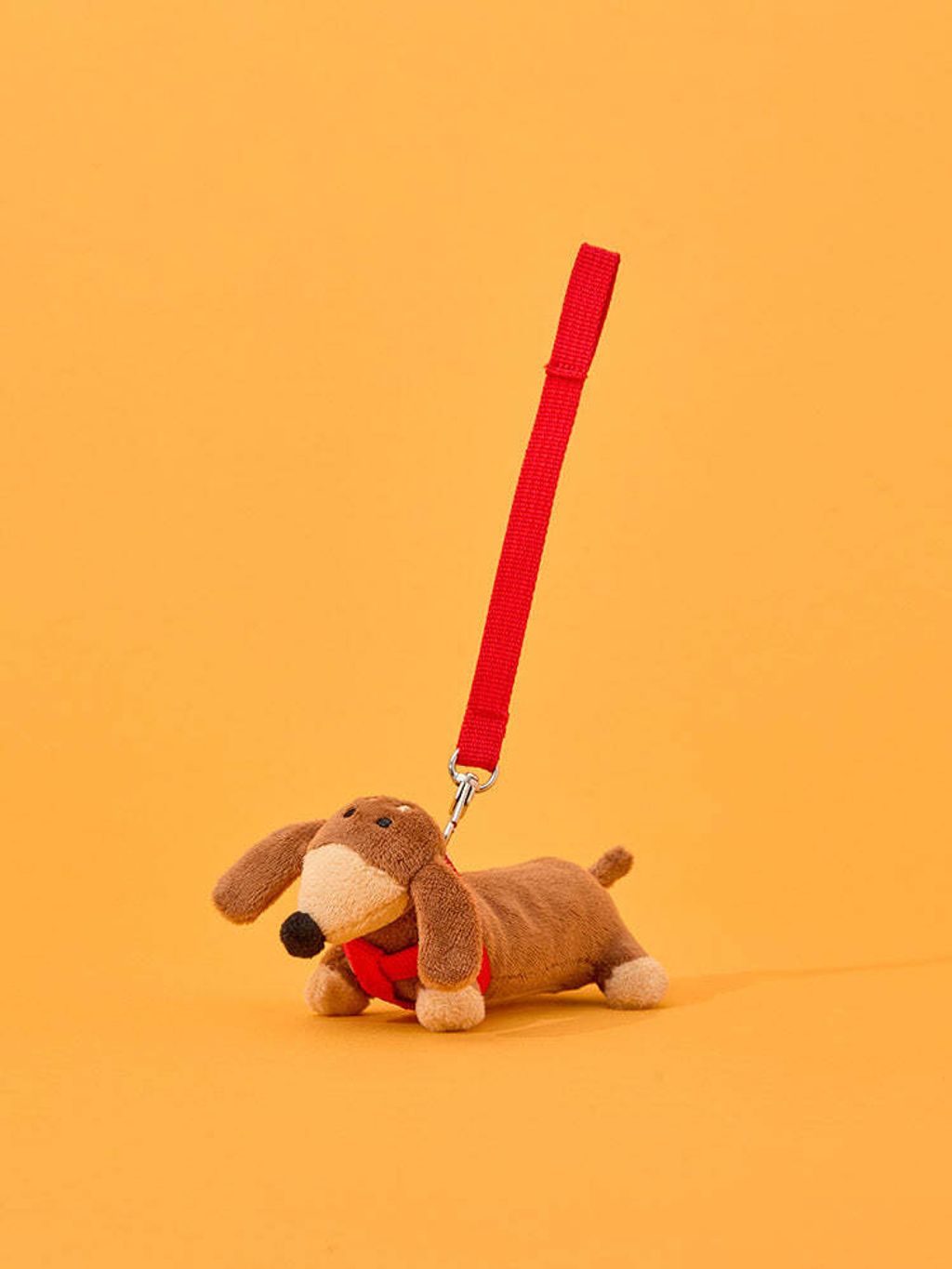 image_EBA22D60-1238-463D-AADB-9585475FC3B4_1761392356