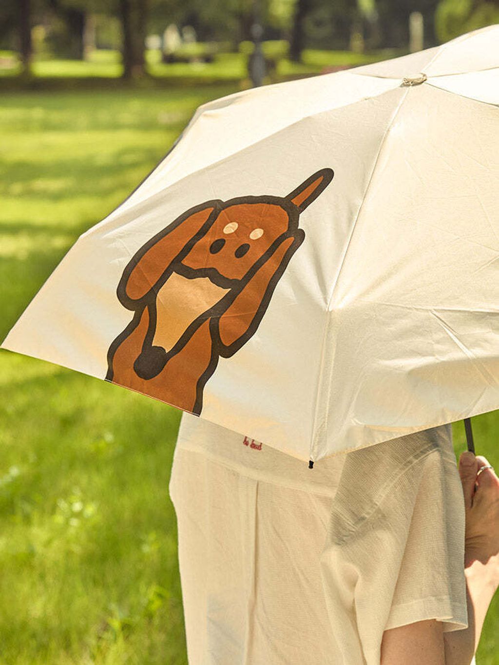 image_675D9B28-53DC-4340-B7D9-44BFE05DD56D_1761393006