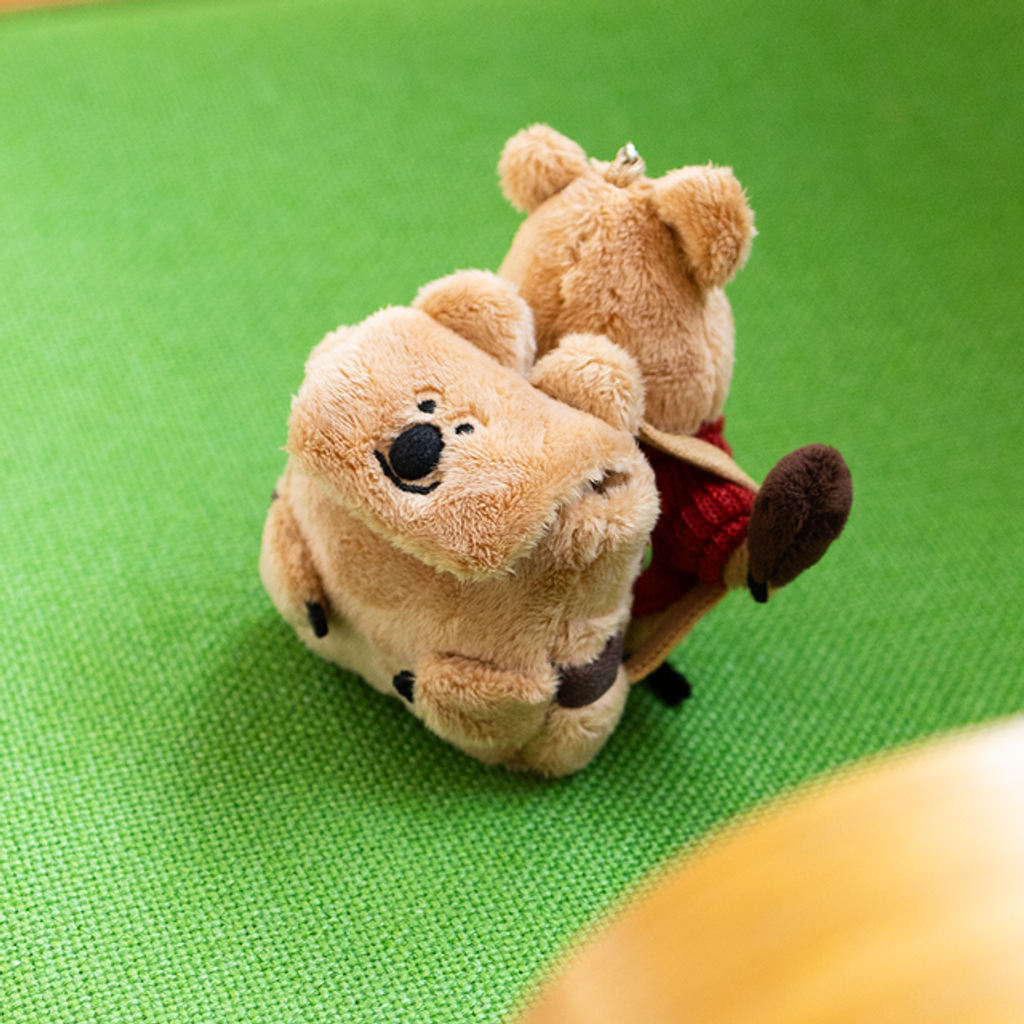 image_A20732D3-3F10-48B3-A772-A2EEB737AA6A_1762242693