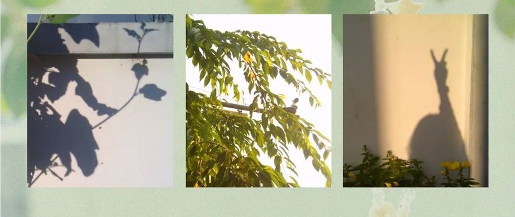 image_2656E268-49DE-4B56-AC82-4165FD9F598F_1762750105