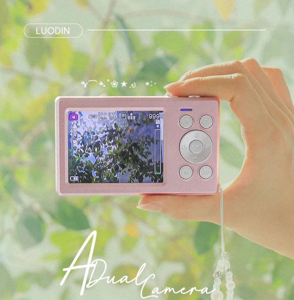 image_D99B5811-763A-4B53-9956-7F9B263E95BB_1762750105