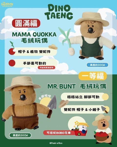 image_113628BC-68A4-4E33-A908-52AECFC15EC2_1763032605