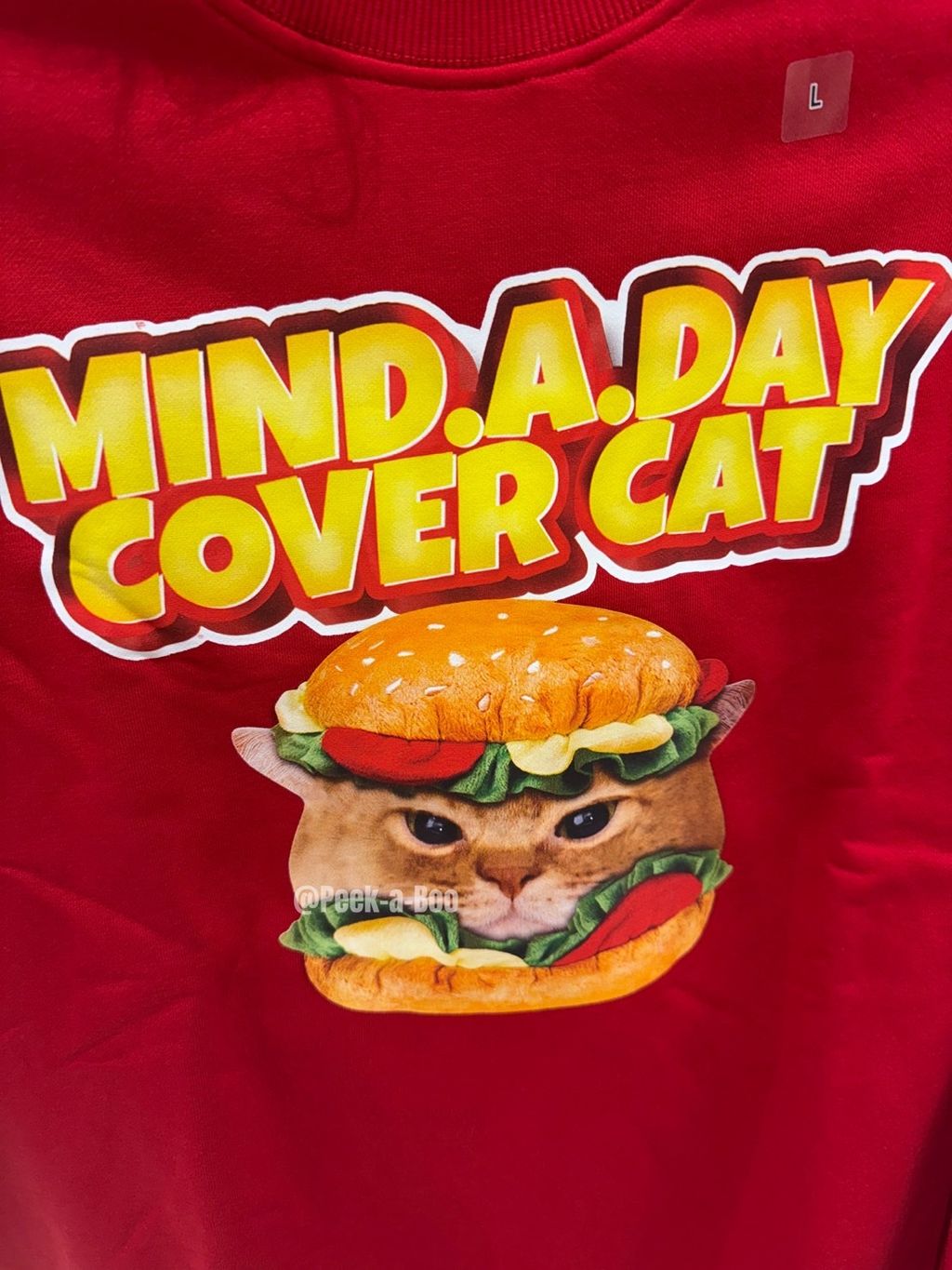 image_75E6C692-6BE2-430C-847D-9895BC7021AD_1764216528