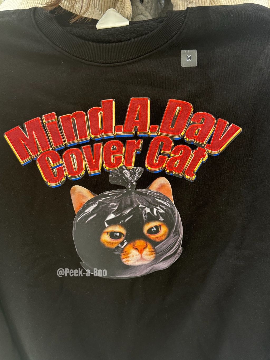 image_275B9692-7F0C-4392-A456-2CB325206113_1764216528