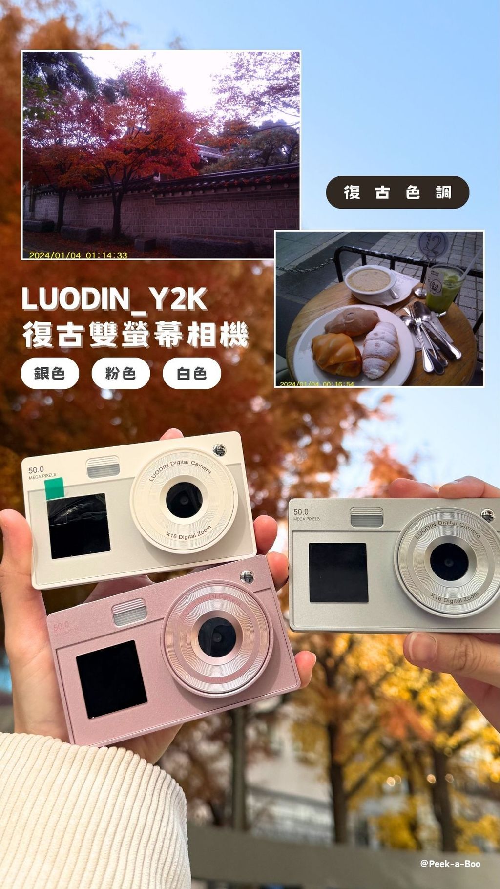 image_DD53B535-3E73-4C3C-AC03-4938DE280318_1765623889