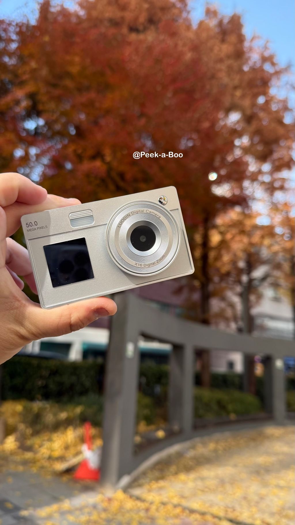 image_2A950A05-3386-497A-851D-B4ED25F73D32_1765623889