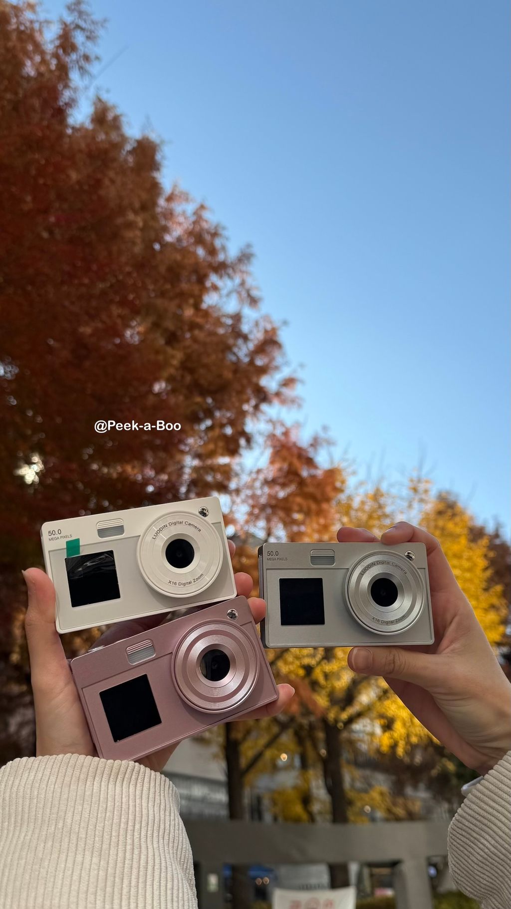 image_35BCD6BE-59DE-4CF2-8BCB-A7753D57C5D2_1765623890