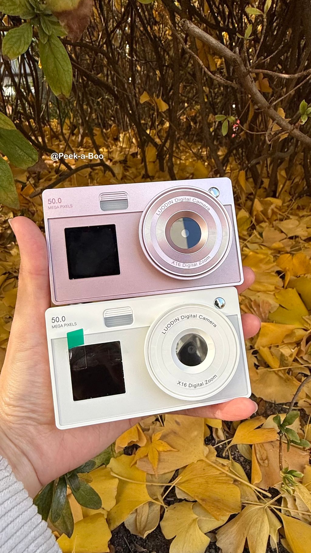 image_4D9C7F89-FB2A-46CF-BAE5-4AC3631D146B_1765623890