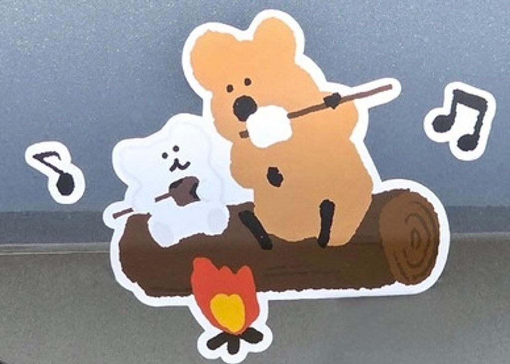 image_89258B03-27C3-4A4B-9DB5-9DB38C0E53C7_1765881273