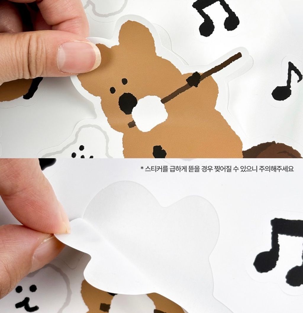 image_A0AC7071-907C-4123-BB5C-DED09C00FF4A_1765881273