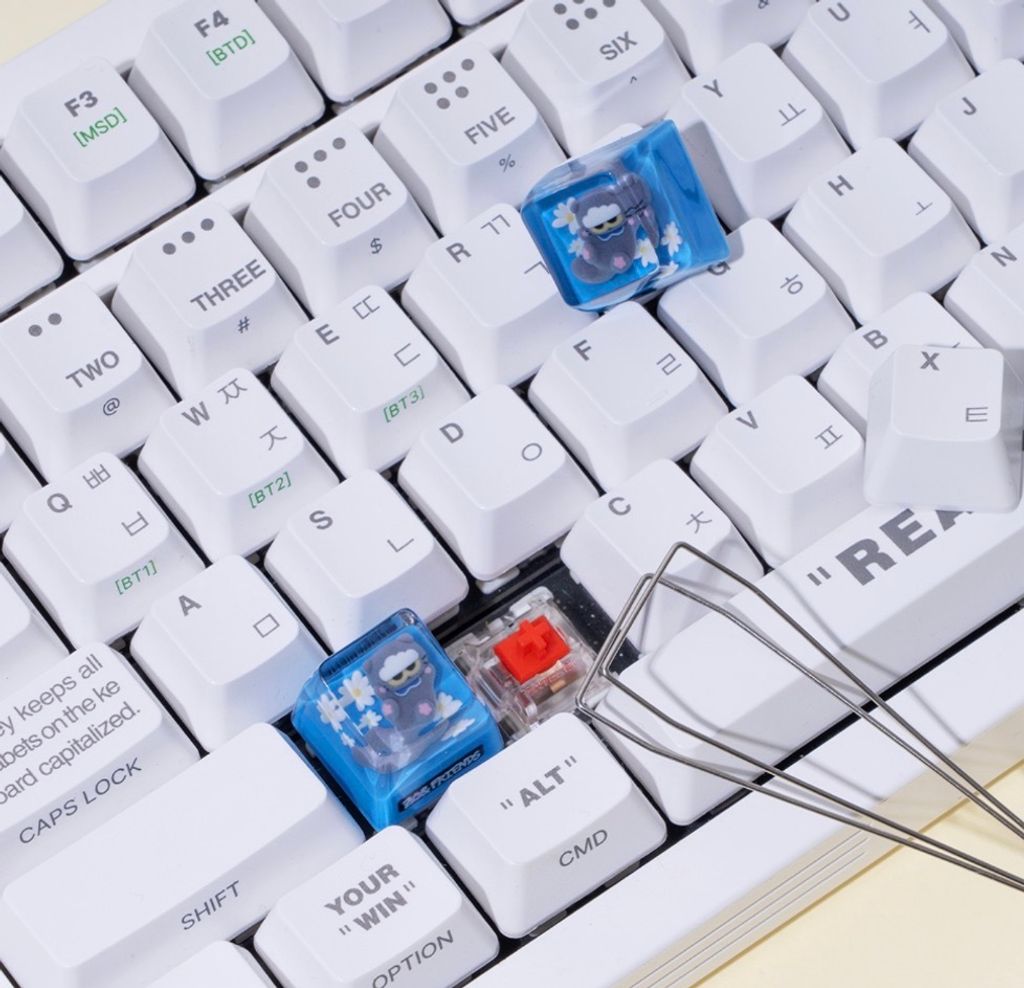 image_969AC4DD-53BC-43B9-9E28-609E8FE532A6_1765881845