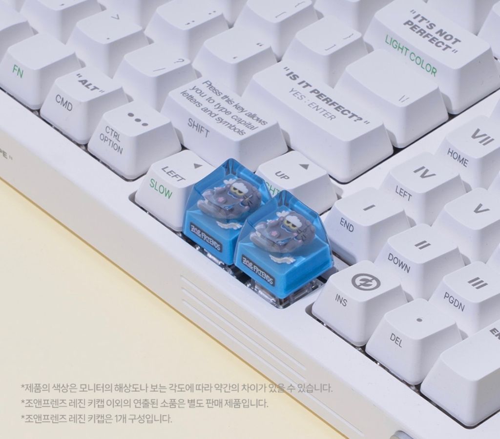 image_317DFF64-25B4-4EF3-83F6-BD0AAE9BC384_1765881845