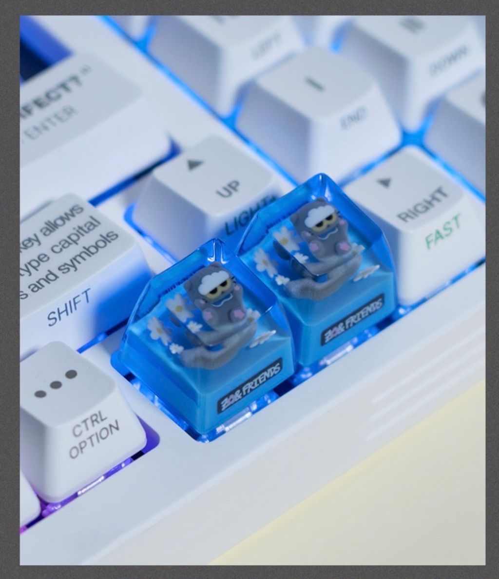 image_FB508A35-0215-4681-92AE-8F6B2531F28A_1765881845