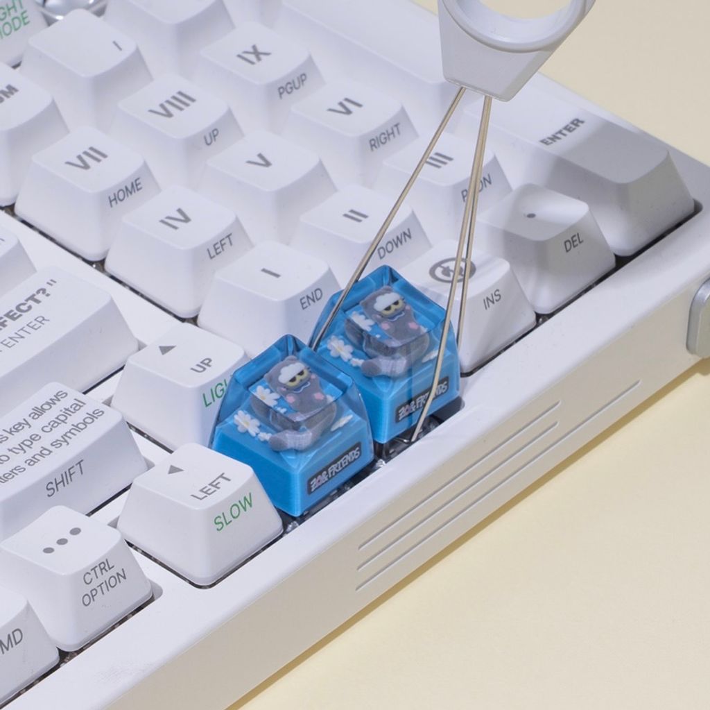 image_884960A4-3033-4396-9014-8F50CBE1A81F_1765881845