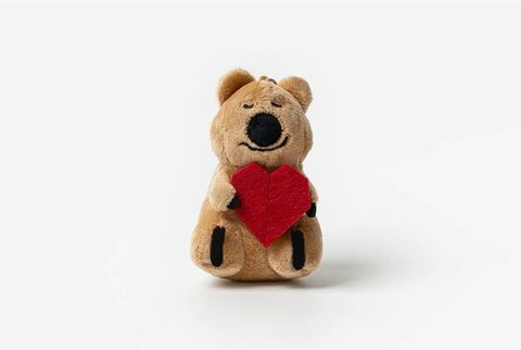 image_DAE8ADD9-2C81-4E4F-98E5-417E9DFD7EFC_1768302811