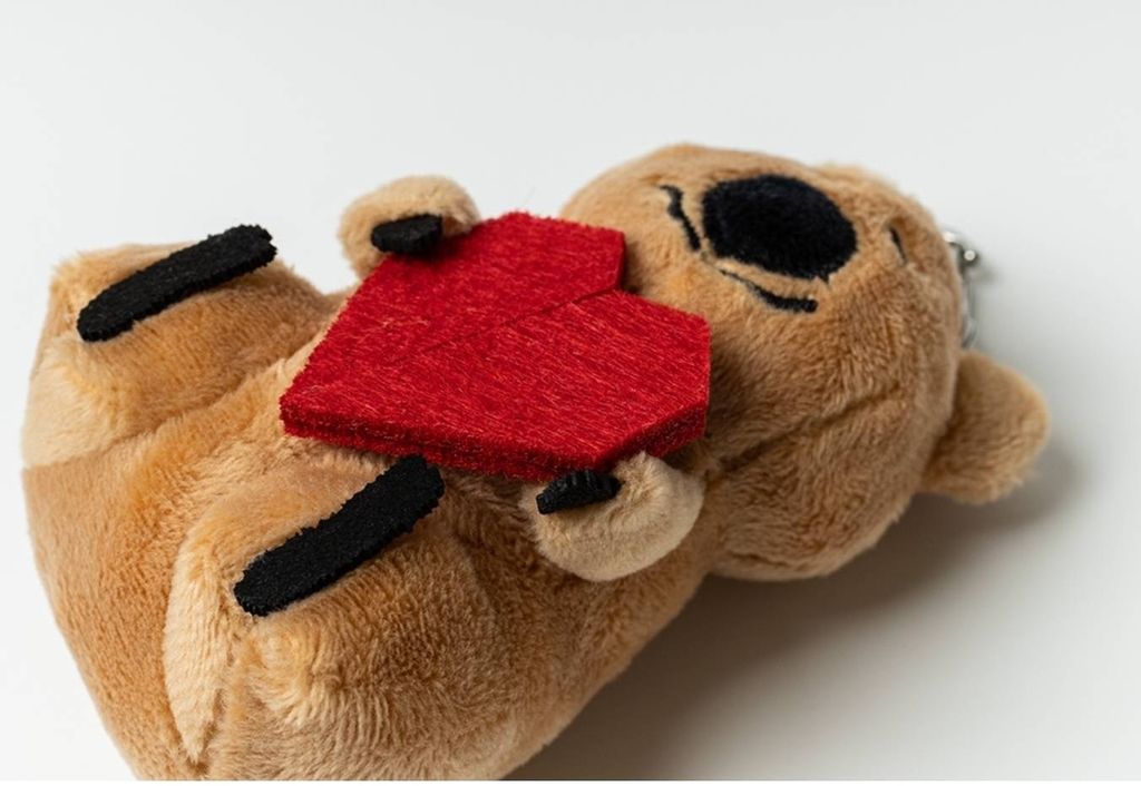 image_7F215ECB-222B-4294-8E89-899E25206582_1768302811