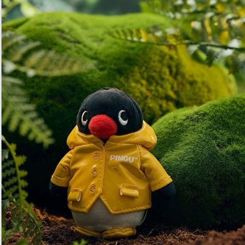 image_F423B76F-F33A-4DA3-923A-C902BCE1FC86_1768472984