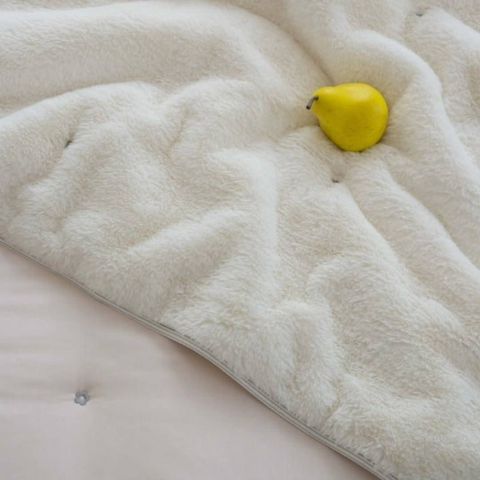 image_1E9B1E18-EF35-4729-BF25-B42E8518DEC6_1769167944