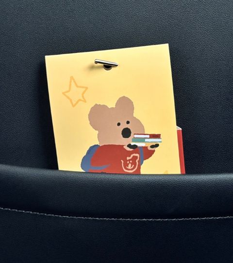 image_A9899AD2-A6BC-47FB-93BB-33549C858FB8_1770703547