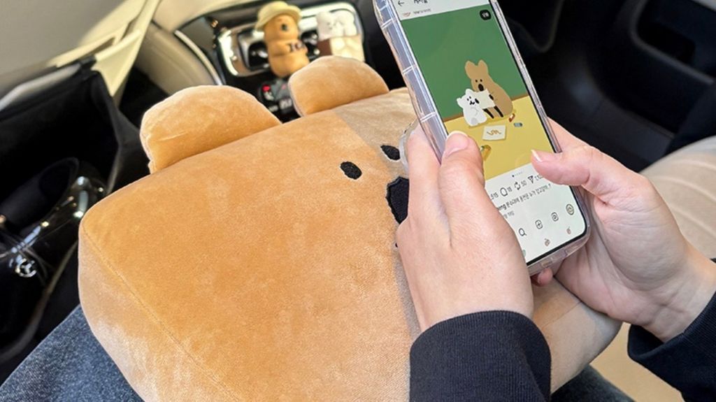 image_B7A32173-AC75-4066-9816-8AF321719D3B_1770704351