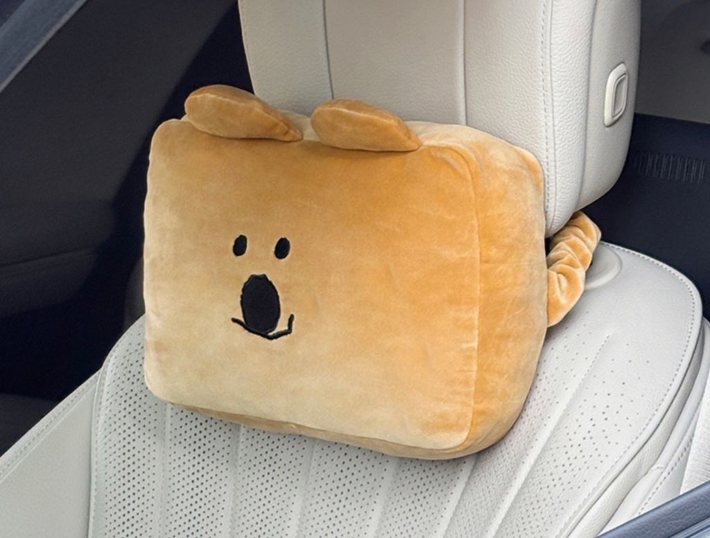 image_0E25A15C-0092-42F8-90A8-4BEDC883EF72_1770704351