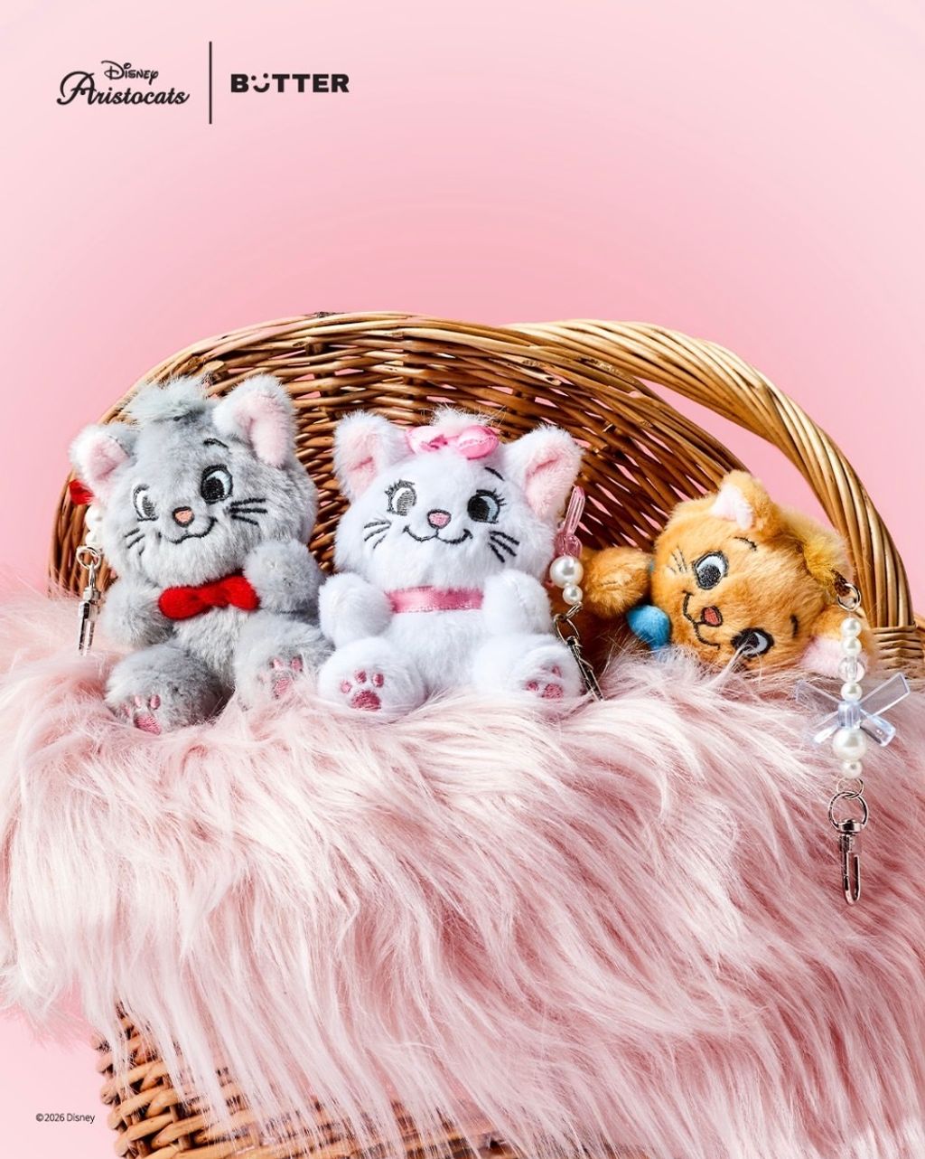 image_520D93AB-D3D7-4EF4-9B04-CCE746799A1D_1771936959