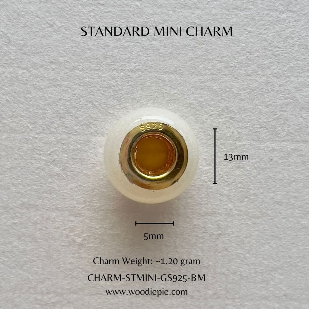 ST charm (2)