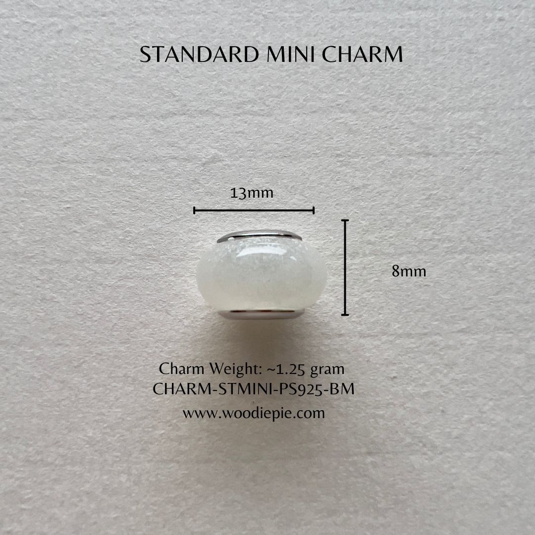 ST Mini charm