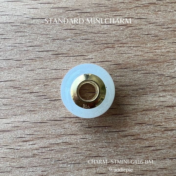 Standard Mini Charm (2)