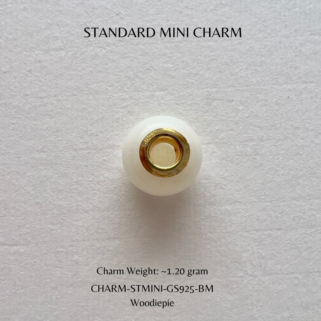 ST charm (6)