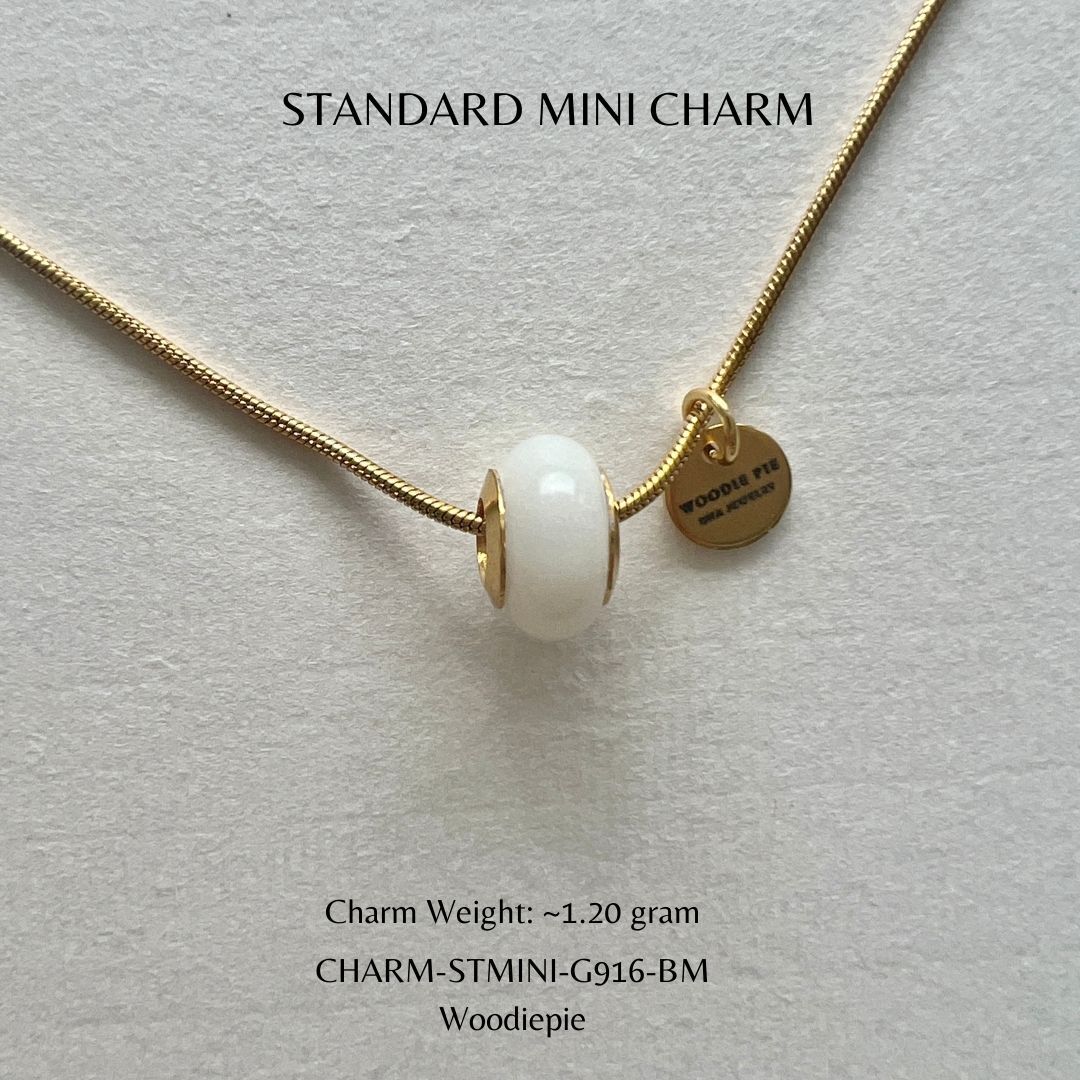 ST charm (5)