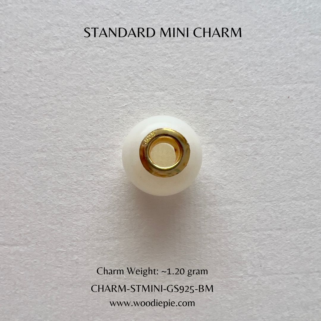 ST charm (4)