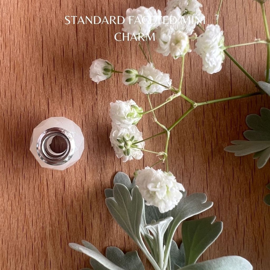 Standard Faceted Mini Charm (3)