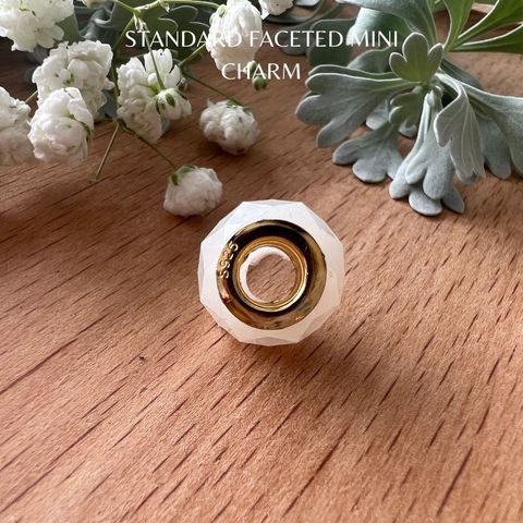 Standard Faceted Mini Charm (7)