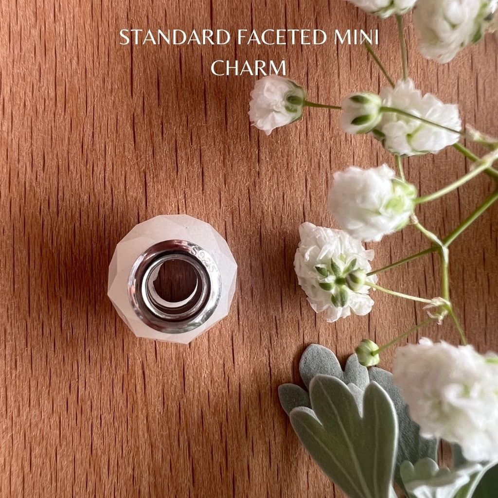 Standard Faceted Mini Charm