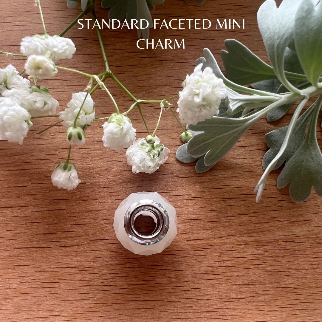 Standard Faceted Mini Charm (5)