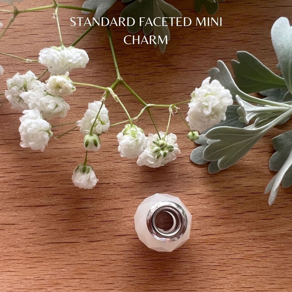 Standard Faceted Mini Charm (4)