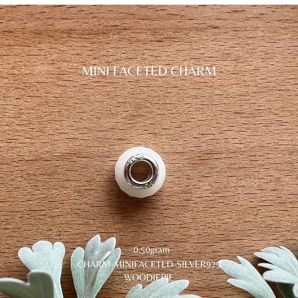 Mini Charm S925 (7)
