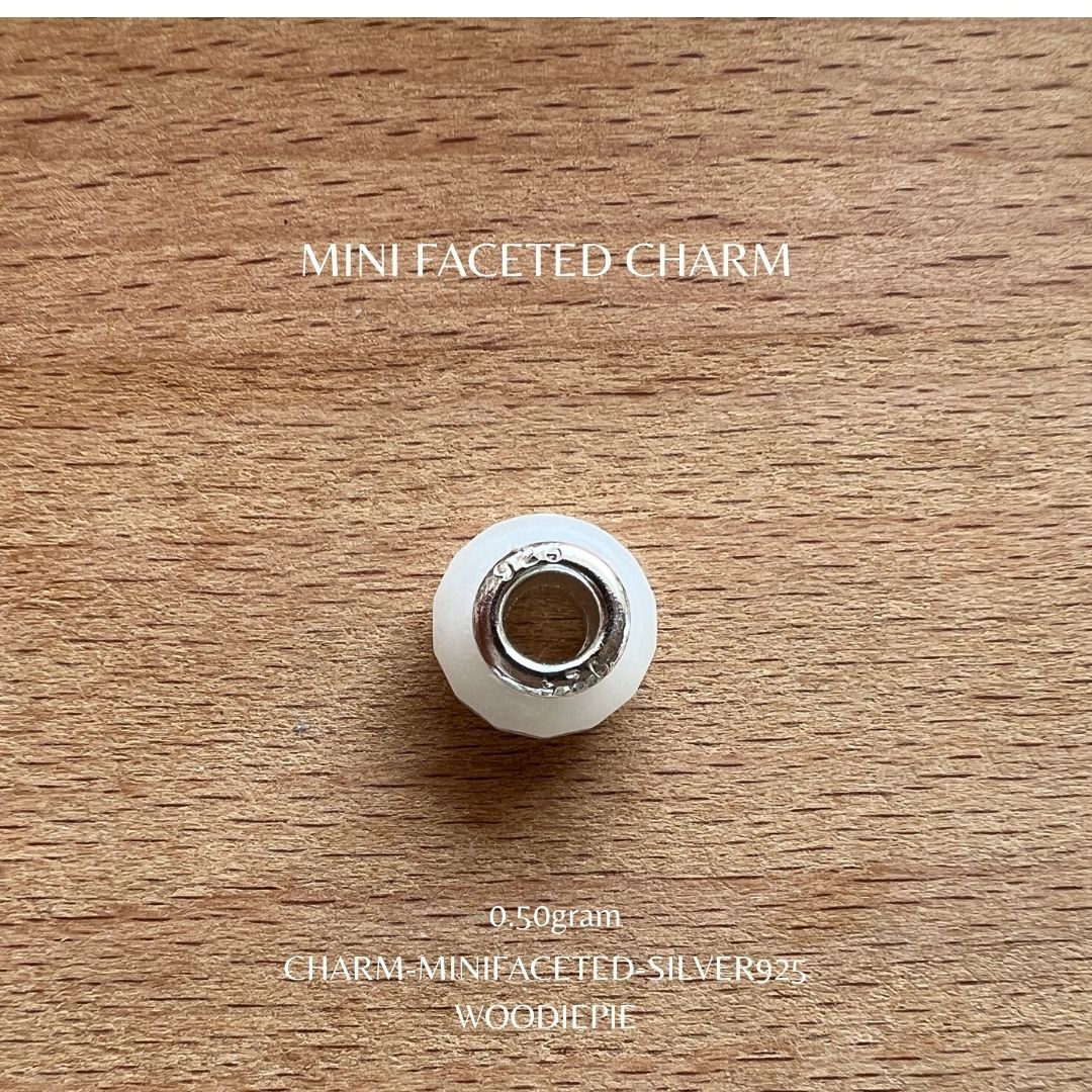 Mini Charm S925 (6)