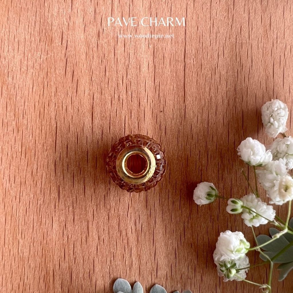 Pave Charm (7)