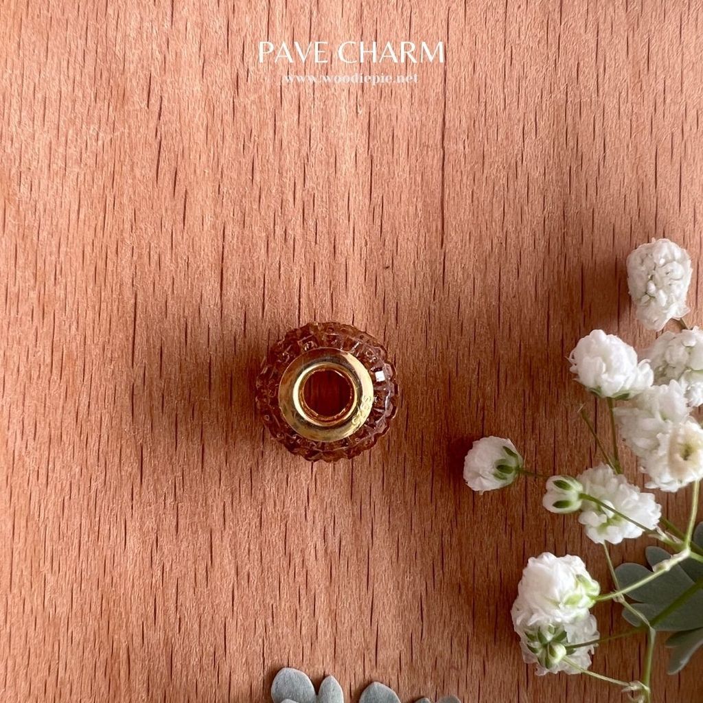 Pave Charm (6)